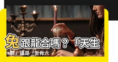 兔和龍合嗎|【兔跟龍合嗎】兔跟龍合嗎？「天生一對」還是「生肖六沖」？